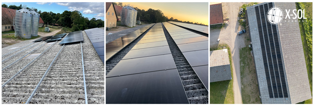 Solcelleanlæg til landbrug på ladebygning med malkekvæg